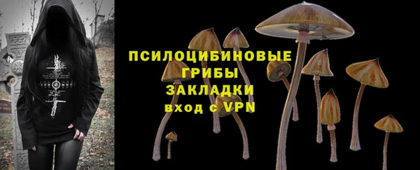 дурь Володарск